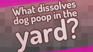 What dissolves dog poop in the yard?