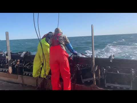 Scallop Fishing 2021  Go For Broke 05’