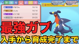 【ダイパリメイク】 初心者でもこの動画を見れば簡単に最強ガブリアスを作ることができます【ブリリアントダイヤモンド・シャイニングパール】