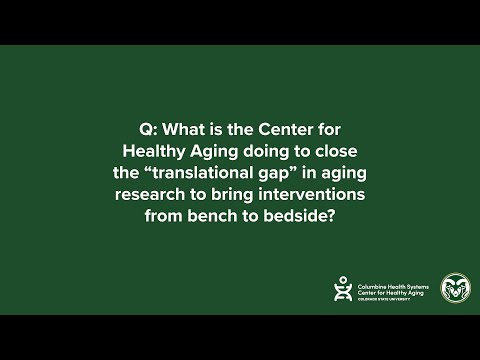 Closing the Translational Gap in Aging Research