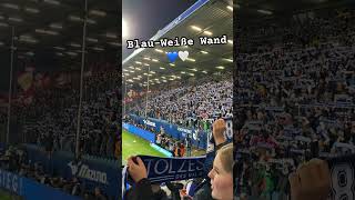 Bochum, ich komm aus dir. 💙🤍 Hymne im Ruhrstadion #vflbochum #ruhrstadion