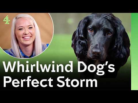 Rescue Dog's Perfect Storm That Created an Unexpected Dog Friendship | The Dog House 🐶