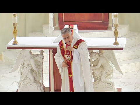 Father Mark Beard's Homily - "Catholic" - Solemnity of the Most Holy Trinity, Year A 2023