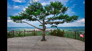 일송정과 해란강 (옥천군 민주평통 광복 80주년 기념 항일 독립 연변 역사 탐방2025 7 5 연변)