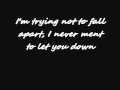 Lentil by Sia (with Lyrics)