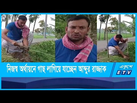 স্বেচ্ছাশ্রমে গাছ লাগিয়ে যাচ্ছেন লালমনিরহাটের আব্দুর রাজ্জাক