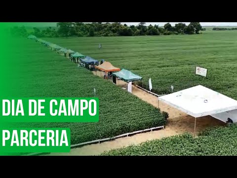 Dia de Campo Parceria