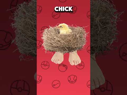 Pokemon that need Baby forms!