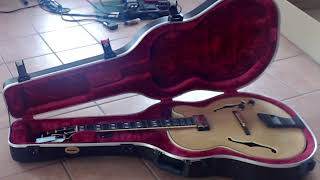 Video thumbnail for Unboxing Ibanez PM200 NT Guitar by Raffaello Gianfranco