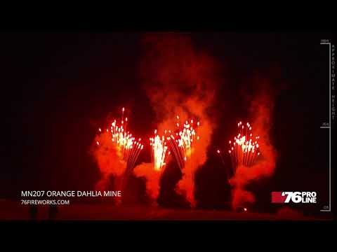 MN207 Orange Dahlia Mine (50mm)