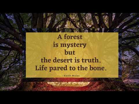Nature: 20 Forest Quotes # 3