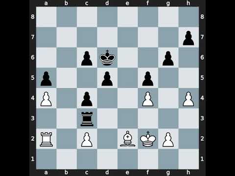 Petr Velicka(2461) vs Viacheslav V Zakhartsov(2578) | Event: Czech Open G Rapid | 2011.07.21