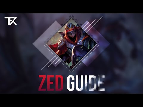 Zed Guide S14 german | Mid | Team Freekills