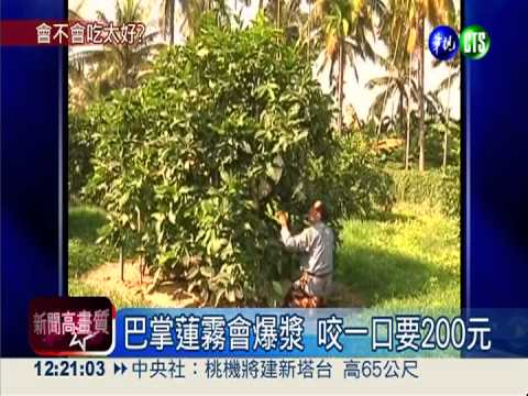 物以稀為貴! 頂級水果有錢吃不到