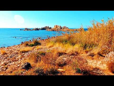 Natural beauty ♥️♥️♥️♥️#sumaya #sumayavlogs #viralvideo #viral