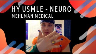 HY USMLE Neuro/Path - #312