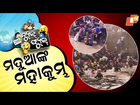 News Fuse 02 JAN 2026