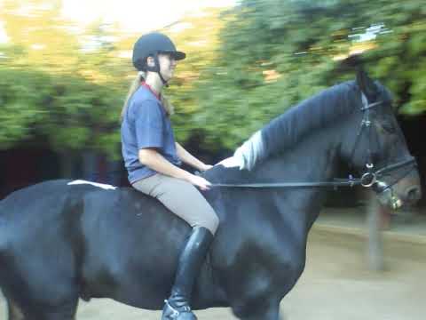 EIO stand up for the CHAMPIONS !!!!