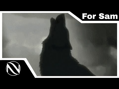 🐶 For Sam | SUBTITULADO EN ESPAÑOL | Soul Dog x The Kiffness (Soulful Singing Dog Remix) 🎶