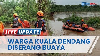 Pria Diterkam Buaya di Kuala Dendang Tanjung Jabung Timur, Tim Basarnas Lakukan Pencarian