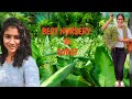BEST NURSERY IN SURAT UNN VLOG FOR NATURE LOVERS