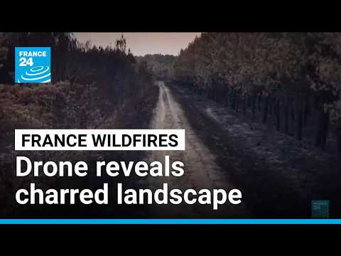 Drone reveals charred forest landscape after wildfires scorch France