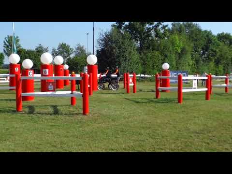 Fahrturnier Ostenfelde 21.8.2022