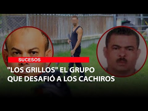"Los grillos" the group that challenged Los Cachiros