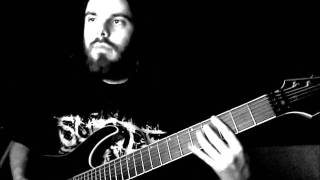 VILDHJARTA - shadow (bergström guitar play)