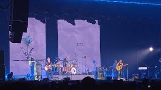Download lagu CNBLUE - Still, A Flower mp3 Download lagu CNBLUE - Still, A Flower mp3