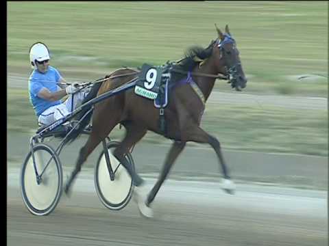 Trotto 08/07/2017 - 1ª corsa