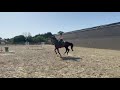 GK QUINTUS