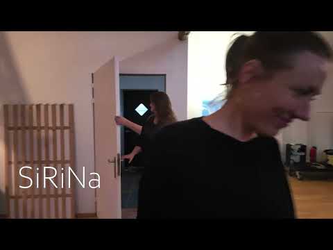 SiRiNa demo