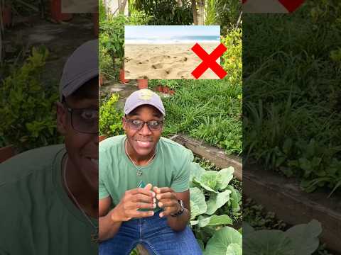 🌱La arena de río en el sustrato