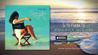 Si Yo Fuera Tú Lyrics English Translation