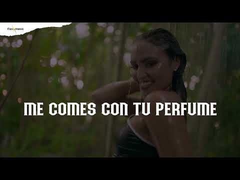Elvis Crespo, Limi-T 21 | Tiburona (Lyric Video)