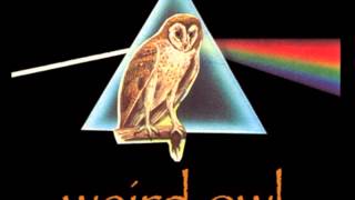 Weird Owl - Two headed brother