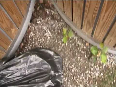 Näin lauantai aamuna 10.9.2011