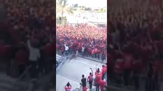 حالات الواتس جمهور الاهلى افريقيا للكبار