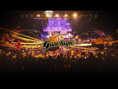 Guachupe Euforia Live
