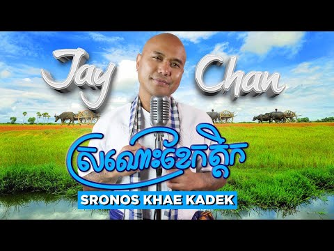 Jay Chan - ស្រណោះខែកត្តិក  Sronos Khae Kadek (Lyrics Music Video)