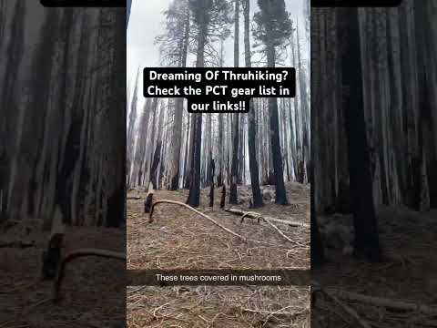 This place was SO creepy😳