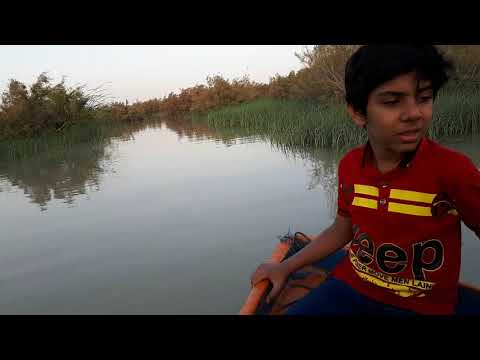 Hamon international wetland of iran zabol