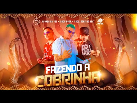 FAZENDO A COBRINHA -  AFONSO NA VOZ -   SONY NO BEAT -  DUDU ROSA