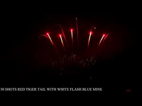 50 SHOTS RED TIGER TAIL WITH WHITE FLASH BLUE MINE