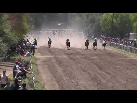 CROTO  Club Hipico "Riveras Neuquinas" -   Vista Alegre -  Neuquen -  22-01-2023