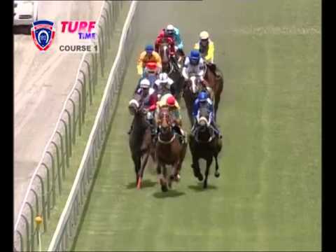 TURF TIME - RACE MEETING 33
