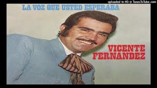VICENTE FERNANDEZ - MI DESGRACIA
