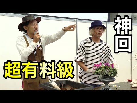 スパティフィラム、フォルスアルム、ホワイトベール