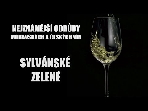 Odrůdy našich vín - Sylvánské zelené